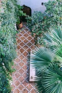 马拉喀什里亚德乐瑞哈尼酒店的种植了植物的砖道花园