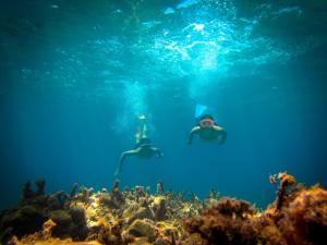 RavdhoúkhaRavdoucha Beach Studios的两个人在珊瑚礁上游泳