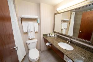Drayton Valley德雷顿瓦利智选假日酒店的一间带卫生间、水槽和镜子的浴室