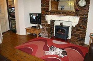 布里克瑟姆布里克瑟姆酒店的一只狗躺在带壁炉的客厅的地毯上