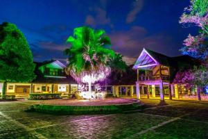 比亚维森西奥Hotel Hacienda Gualanday的棕榈树在晚上在建筑物前