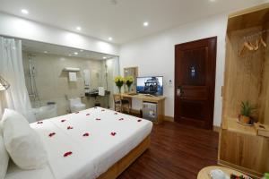 河内河内布鲁城市酒店的一间卧室配有一张床,浴室配有电视。