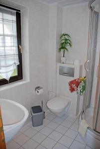 Klein ZickerFerienhaus Christa的白色的浴室设有卫生间和水槽。