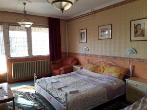 久洛阿帕德-哈茨公寓酒店的一间卧室配有一张床和一把椅子