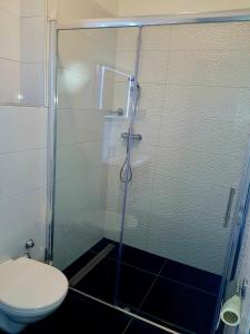 梅塔伊纳Bara Bay的浴室设有玻璃淋浴间和卫生间