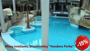 德鲁斯基宁凯Raigardo的一座大型游泳池,两棵棕榈树位于一座建筑中