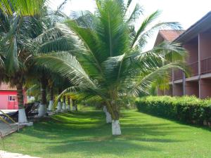 Bortianor博约海滩度假酒店的楼前一排棕榈树