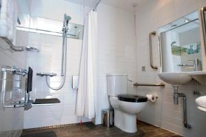 泰恩河畔纽卡斯尔纽卡尔斯安睡者酒店的浴室配有卫生间、盥洗盆和淋浴。