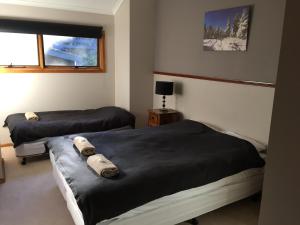 擂村冬季旅馆客房内的一张或多张床位