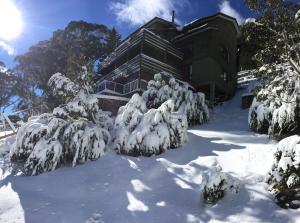 冬天的擂村冬季旅馆