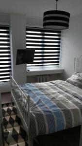 贝尔格莱德WHITE CITY 2的一间卧室配有一张床和两个百叶窗的窗户