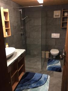 阿尔卑巴赫Appartement Rossalm mit Sauna的带淋浴、盥洗盆和卫生间的浴室