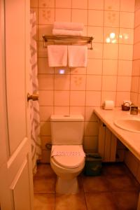 纳塔列斯港佛罗伦萨迪克西夫人酒店的浴室配有卫生间、水槽和毛巾。