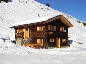 菲施Alphütte Bielerhüs的小木屋被雪覆盖