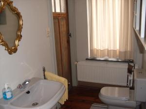 伊普尔Guesthouse Oude Houtmarkt的一间带水槽、卫生间和镜子的浴室