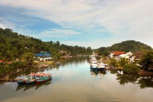巴东巴东爱玛瑞斯酒店的一群船停靠在河里