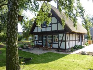 朗克维茨Ferienhaus Flieder in Liepe的茅草屋顶和庭院的房子