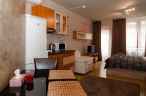 布达佩斯安瓦宾馆的小厨房以及带冰箱和沙发的客厅。