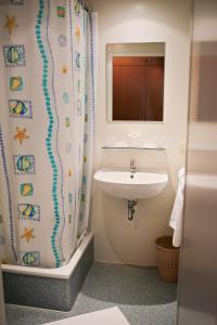 普拉维丽胡瑟酒店的一间带水槽和淋浴帘的浴室