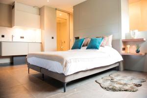 Sint-Pieters-Leeuw24号工作室公寓的一间卧室配有一张带蓝色枕头的大床