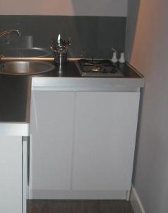 克拉科夫艾加多尔公寓的厨房配有水槽和台面