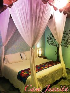 萨尤利塔Casa Juanita的卧室配有一张粉红色窗帘的床