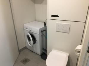 拉赫蒂Lahti City Home的一间带洗衣机和卫生间的小浴室