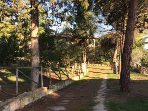 波吉邦西Case Vacanza Podere Risoino的林地中一条小径,有树和栅栏
