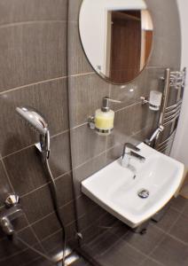 奥洛穆茨Studia Letců 2A的一间带水槽和镜子的浴室