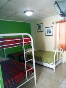 奥拉涅斯塔德Hostel Room Aruba的一间卧室配有双层床和双层床。