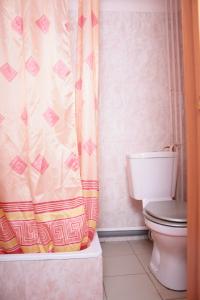 陶里亚蒂陶里亚蒂莱克旅舍的一间带卫生间和淋浴帘的浴室