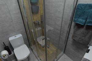 基辅Air Loft Apartment的一间带卫生间和玻璃淋浴间的浴室