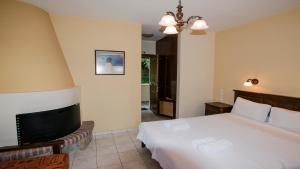 基索斯米尔蒂罗公寓酒店的一间卧室配有一张床和一台平面电视