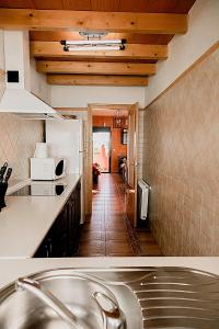 鲁伊德拉洛斯潘秋斯公寓的厨房配有水槽和台面