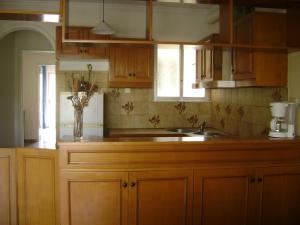 阿特米达Avra的厨房配有木制橱柜、水槽和窗户。