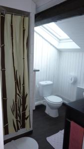 Bonson艾文努尔酒店的一间带卫生间和淋浴帘的浴室