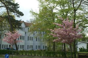 巴贝斯特兰德馆酒店的前面有粉红色树的白色房子