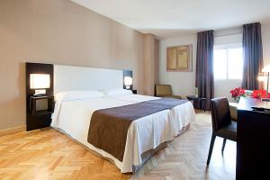 赫塔费卡洛斯三世旅馆的酒店客房设有一张大床和一张书桌。