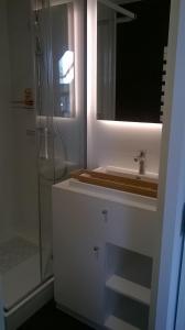 鲁汶B&B Wannes Suite的白色的浴室设有水槽和淋浴。