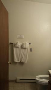 费尔普莱Western Inn Motel & RV Park的浴室的墙上挂着毛巾
