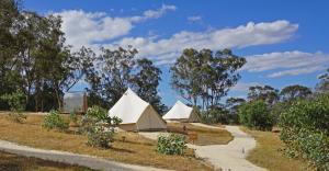 Cosy Tents - Daylesford外面的花园