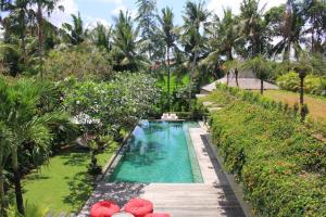 坎古萨利别墅的棕榈树花园内的游泳池