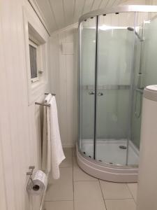 海姆瑟达尔Koselig Hytte i Hemsedal的带淋浴的浴室和玻璃门