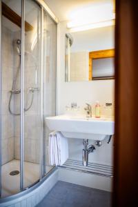 乌尔里兴努费恩酒店的一间带水槽和淋浴的浴室