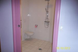 巴黎德拉特拉斯酒店的带淋浴和卫生间的浴室