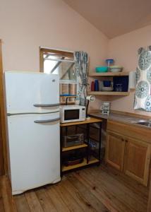 桑迪湾Blue Island Divers Casita Azul的厨房配有白色冰箱和微波炉