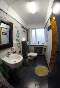 塞尔福斯塞尔福斯旅馆的一间带水槽、卫生间和镜子的浴室