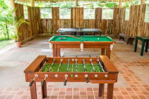 圣安娜-杜斯蒙蒂斯Hotel Solar dos Montes的一张带台球桌的乒乓球桌