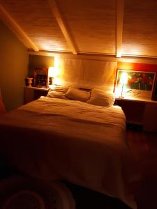 伊尔德帕特斯伍德Voorhuis的一间卧室,卧室内配有一张大床