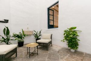 格拉纳达HOSPEDAJE PENSIÓN LA ALMOHADA的一个带植物和椅子的庭院和一个窗口